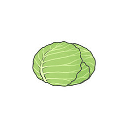 手绘大白菜png素材