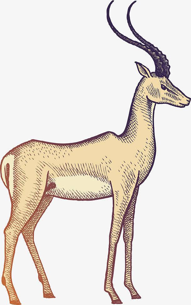 矢量手绘素描动物羚羊插画
