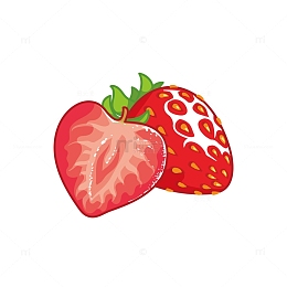 矢量红色水果草莓