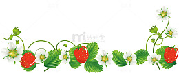 装饰手绘矢量草莓插画