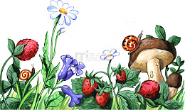 手绘美丽菜园