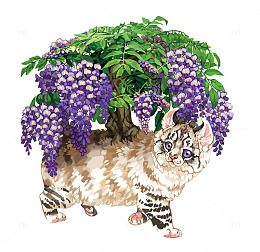 矢量紫藤花和猫