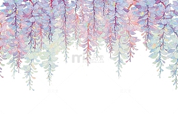 紫藤花的淡色背景