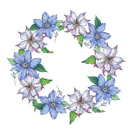 紫藤花花环