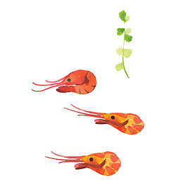 红色虾米卡通插画