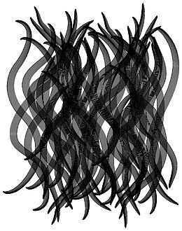 红色背景纹路矢量