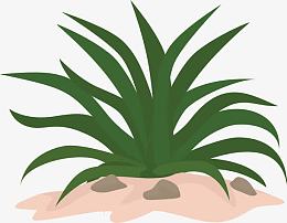 png黄色岩石pngpng卡通盆栽仙人草aipngpng水墨水草pngpng手绘卡通