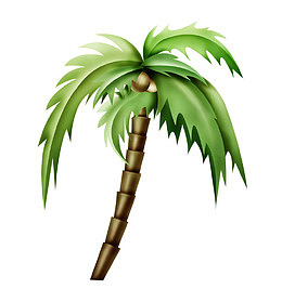 手绘椰子树
