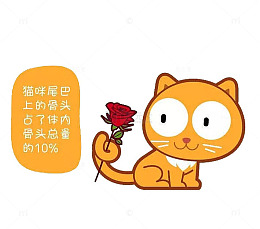 小猫尾巴上的玫瑰花