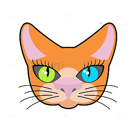 长胡子的小猫咪头像