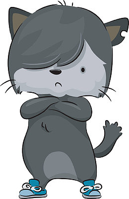 傲慢抱胸的小猫咪