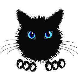 黑色小猫咪的表情