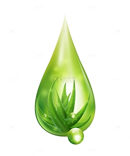 水滴里的芦荟PNG