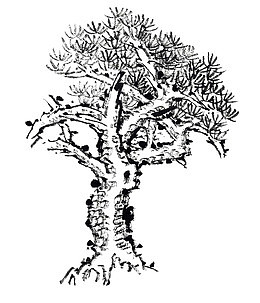 手绘水墨画png迎客松