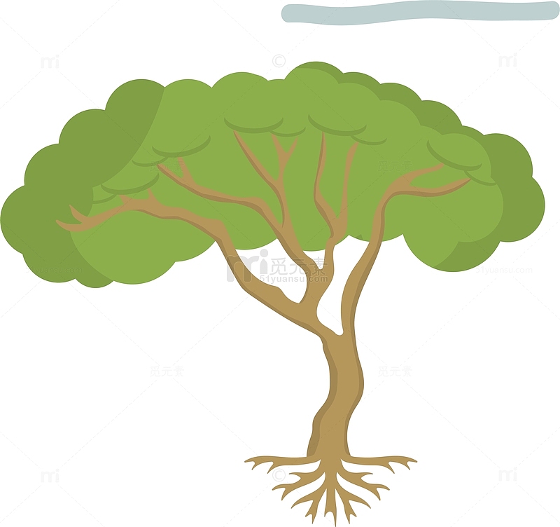 森林树木植树节绿色植物树木生长
