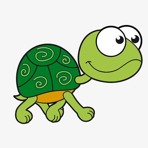 卡通绿色的乌龟动物设计