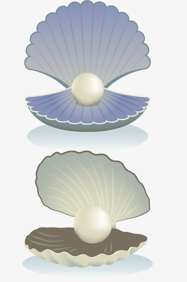 矢量贝壳素材免费下载_觅元素