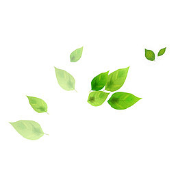 绿色现代植物装饰