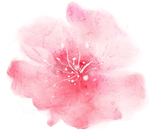 创意卡通粉红色的花朵水彩