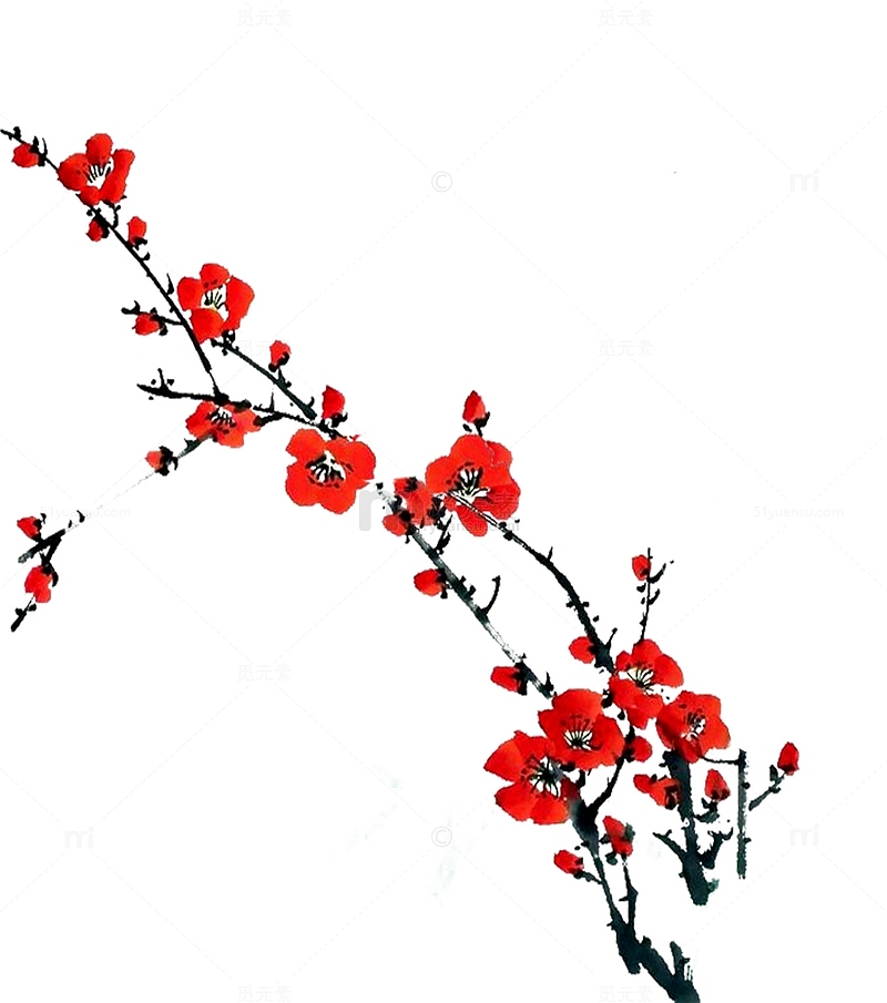手绘红色梅花树枝