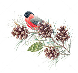 站在树枝上的红色小鸟