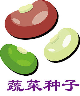 种子发芽全过程花儿和种子