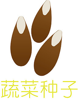 玉米种子包装袋花卉种子