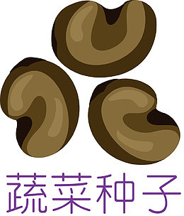 种子扁平农产品种子