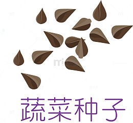 种子矢量播种种子