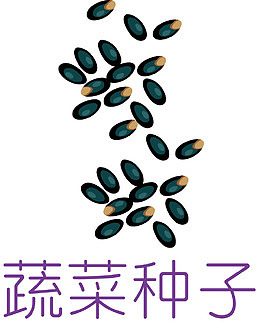种子画册封面黑麦草种子