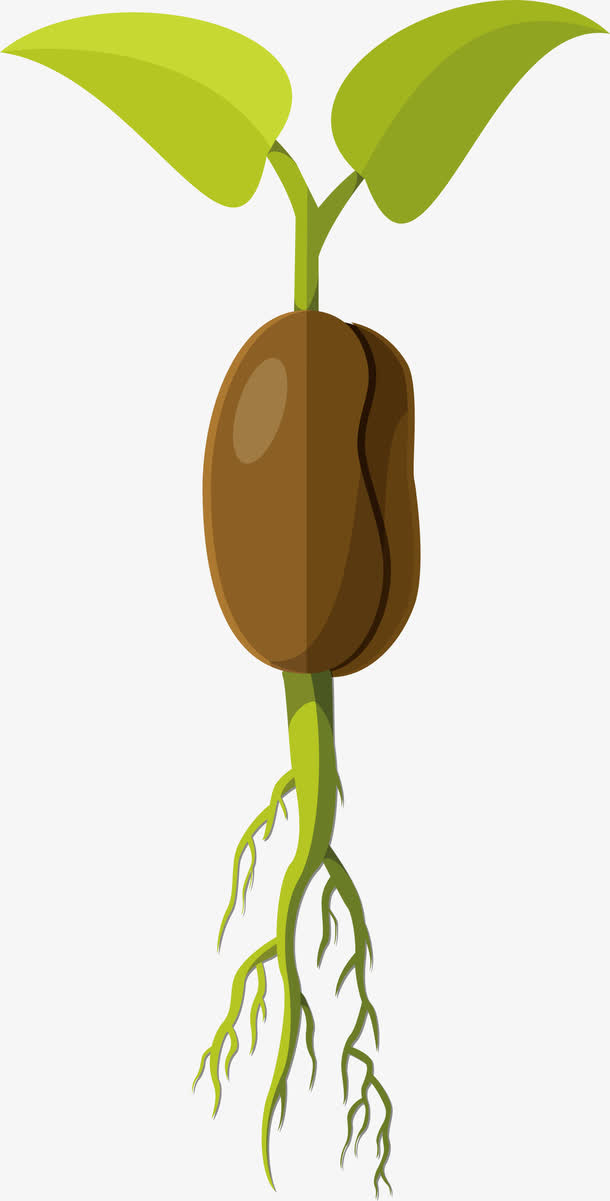 小清新棕色种子素材免费下载_觅元素