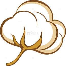 矢量棉花花朵素材图