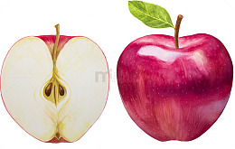 美味的苹果手绘图