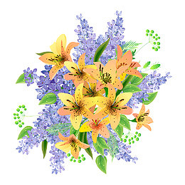 橘黄色百合花手绘图