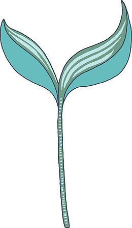 小草嫩芽手绘简图