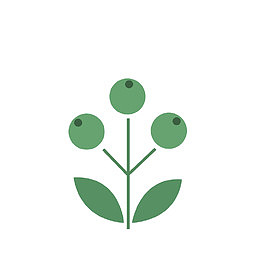 绿色圆形果子简笔画
