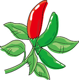 辣椒叶子