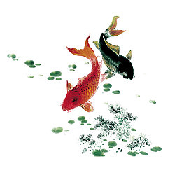 小河里的游动的小鱼