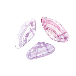 矢量图海鲜免抠下载