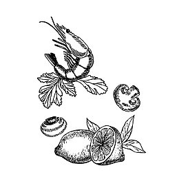 手绘素描虾柠檬蘑菇素材