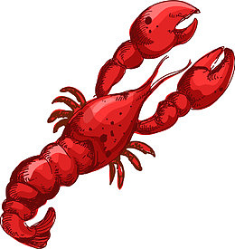 红色手绘龙虾海鲜