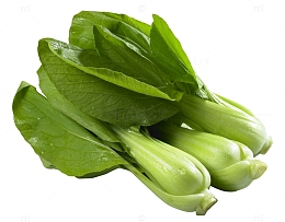 新鲜油菜特写