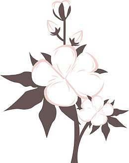 卡通棉花矢量素材图