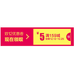 双十二活动优惠券