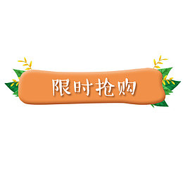 黄色简约天猫限时抢购促销标签