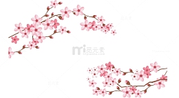 粉红日本樱花边框