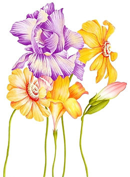 水彩鲜花