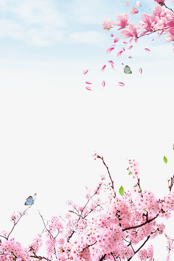 春季浪漫樱花装饰边框