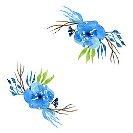 春天淡蓝色植物花朵插图