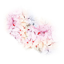 彩绘水彩粉色花卉叶子矢量